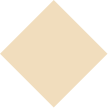 Rectangle 1263