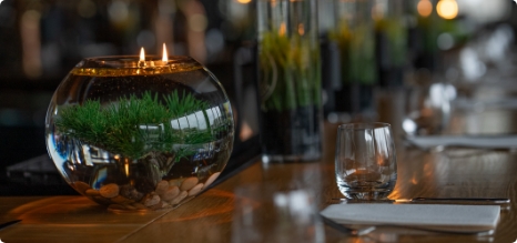 elegance securitaire